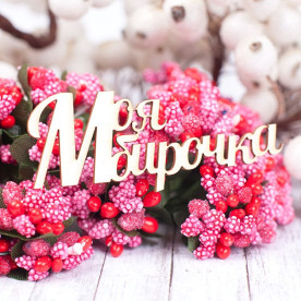 Чипборд Моя бирочка 69*27мм vl1571