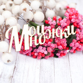 Чіпборд Мої ніжки 83 * 28мм vl1584