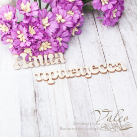 Чіпборд Наша принцеса 43 * 13мм 74 * 14мм 2533 Valeo