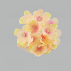 Флокси персикові Фабрика Декору