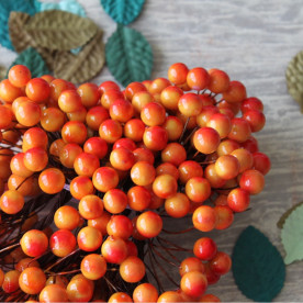 Калина декоративная оранжевая, 2 шт на веточке, 1 см