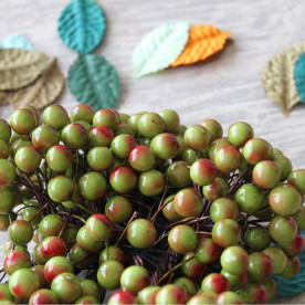 Калина декоративна зелена, 2 шт на гілочці, 1 см