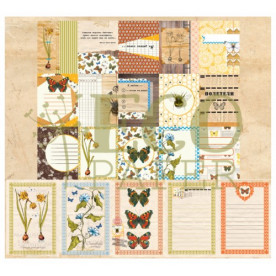 Набір карток Атлас метеликів 20 шт. Ecopaper