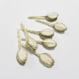 Набір листочків троянди блідо-зеленого кольору, 2 см, 10 шт