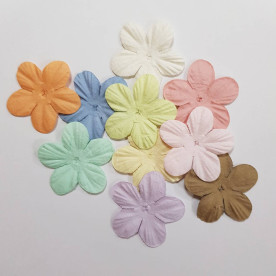 Набор цветочков-пятилистников пастельных тонов, 4 см, 10 шт