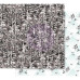 Скраппапір 30х30 см Birds Of A Feather - Flirty Fleur з фольги. 30х30 Prima