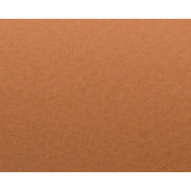 Картон с легкой фактурой Tintoretto ceylon cannella 30х30 см 250 г/м2