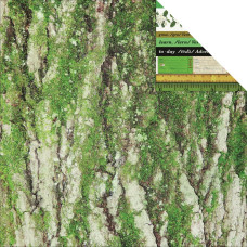 Скрапбумага Today- Limelight, Kaisercraft