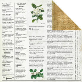 Скраппапір 30х30 см Arise- Limelight, Kaisercraft