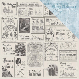 Скраппапір 30х30 см Arctic - Frosted, Kaisercraft