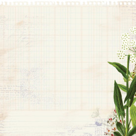 Скрапбумага - высечка Vine - Botanica, Kaisercraft