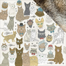 Скрапбумага двусторонняя Cats - Pawfect, 30x30, Kaisercraft