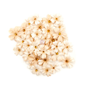 Набір кольорів Meadows - Pretty Pale, 36 шт., Prima