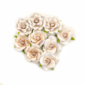 Набор цветов Dry Desert - Pretty Pale, 9 шт., Prima