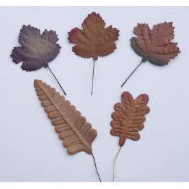 Набор листиков коричневого цвета разной формы, 10 шт.