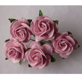 Набір 5 відкритих троянд рожевого кольору, 25 мм.