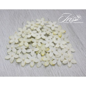 Набор маленьких цветов Little flowers Iris, светло-желтые, 15 мм, 30 шт