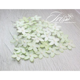 Набір маленьких квітів Little flowers Iris, світло-зелені, 15 мм, 30 шт