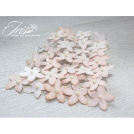 Набор маленьких цветов Little flowers Iris, светло-персиковые, 15 мм, 30 шт