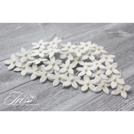 Набір маленьких квітів Little flowers Iris, білі, 15 мм, 30 шт