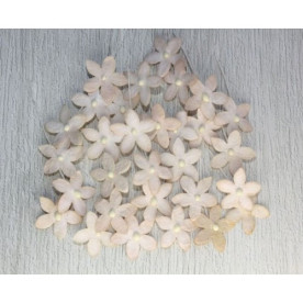 Набор маленьких цветов Little flowers Iris, бежевые, 15 мм, 30 шт