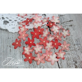 Набор маленьких цветов Little flowers Iris, красные, 30 шт