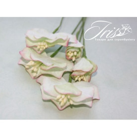 Набор цветов Vanille flowers Оттенки весны Iris, 5 шт