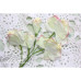 Набор цветов Vanille flowers Оттенки весны Iris, 5 шт
