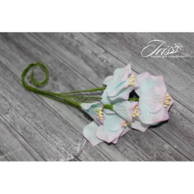 Набор цветов Vanille flowers Северное сияние Iris, 5 шт