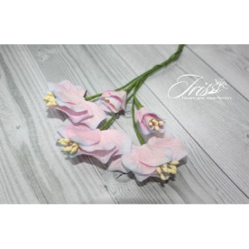 Набор цветов Vanille flowers Свежее утро Iris, 5 шт