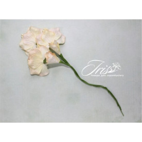 Набор цветов Vanille flowers Солнечный день Iris, 5 шт