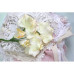 Набір кольорів Vanille flowers Сонячний день Iris, 5 шт