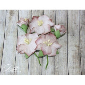 Набор цветов Blossom Iris, коричневые, 5 шт