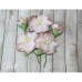 Набір кольорів Blossom Iris, коричневі, 5 шт