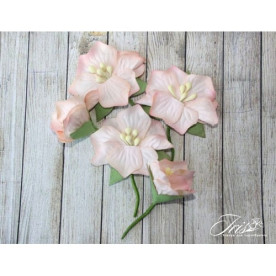 Набор цветов Blossom Iris, персиковые, 5 шт