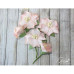 Набір кольорів Blossom Iris, персикові, 5 шт