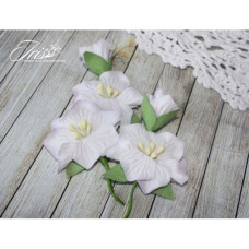 Набір кольорів Blossom Iris, бузкові, 5 шт