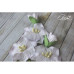 Набір кольорів Blossom Iris, бузкові, 5 шт