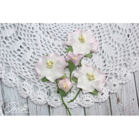 Набір кольорів Blossom Iris, рожевого кольору, 5 шт