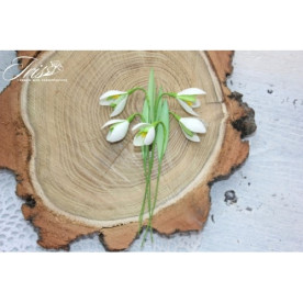 Набір пролісків білого кольору Iris, 5 шт