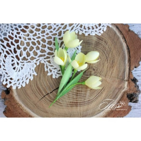 Набор крокусов желтого цвета Iris, 5 шт