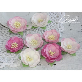 Набір кольорів Dessert Відтінки рожевого Iris, 35-45 мм, 8 шт