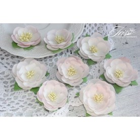 Набір кольорів Dessert Ніжна троянда Iris, 35-45 мм, 8 шт