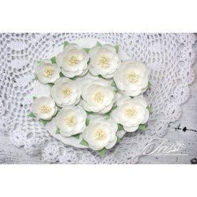 Набір кольорів Dessert Ніжний білий Iris, 25-45 мм, 10 шт