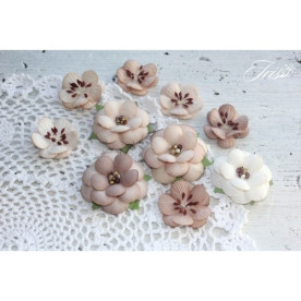 Набор цветов Monsella brown Iris, 30-50 мм, 10 шт