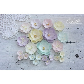 Набор цветов Anemone Baby Shabby, 1.5-4 см, 23 шт