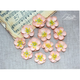 Набір кольорів Denise рожево-персикового кольору Iris, 33-40 мм, 12 шт