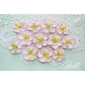 Набір кольорів Denise світло-рожевого кольору Iris, 33-40 мм, 12 шт