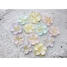 Набір кольорів Denise Baby Shabby Iris, 33-40 мм, 12 шт