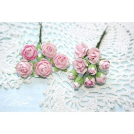 Набір троянд Viva Rosita світло-рожеві Iris, 1-1.5 см, 14 шт